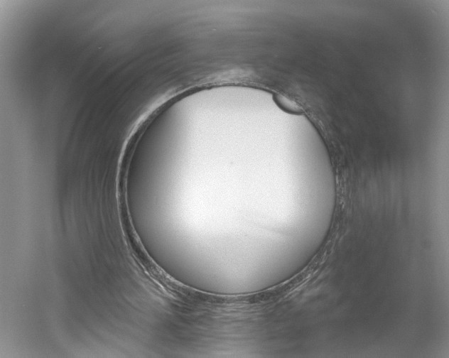 X0000061150196200511181041