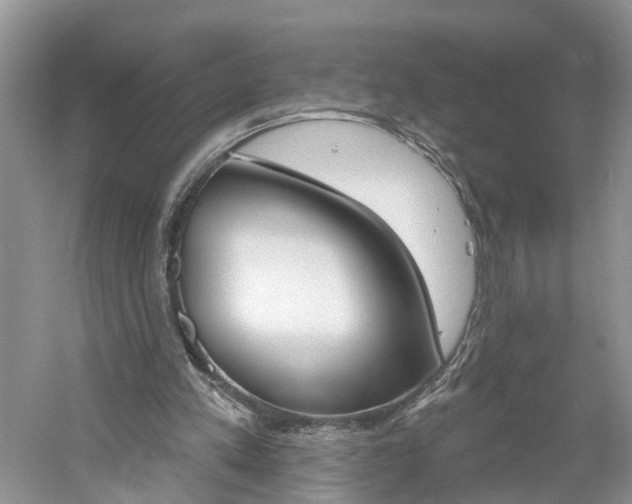 X0000061150197200511181041