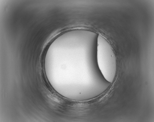 X0000061150198200511181041