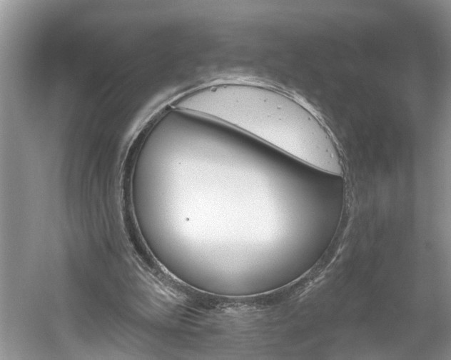 X0000061150199200511181041