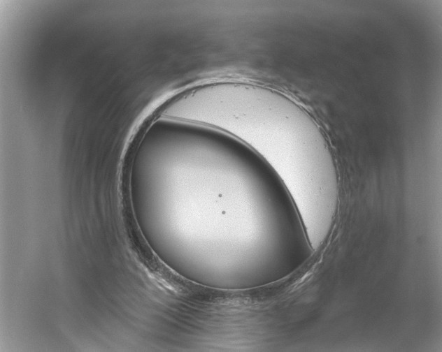 X0000061150200200511181041