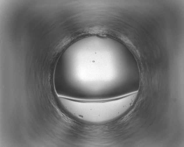 X0000061150201200511181041