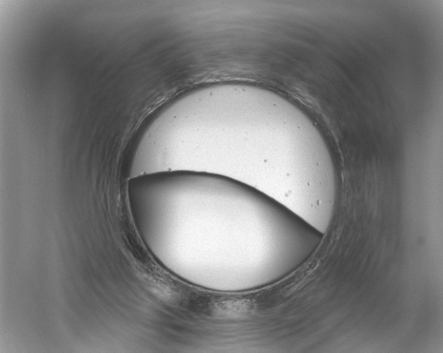 X0000061150202200511181041