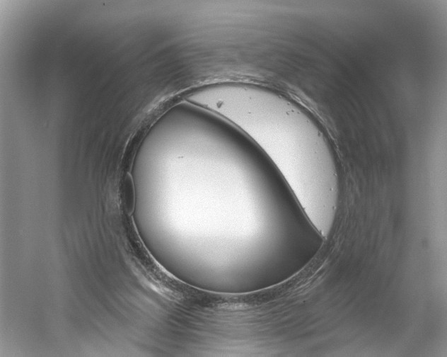 X0000061150203200511181041