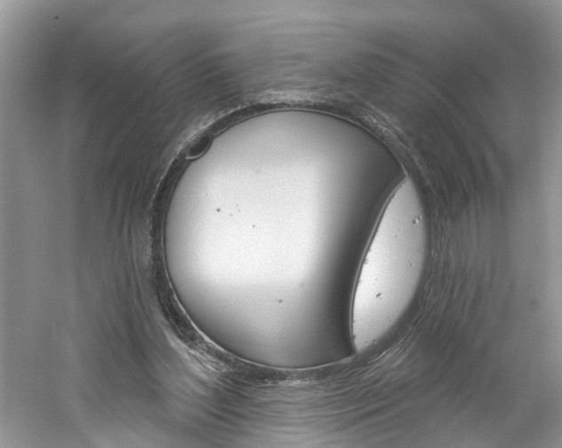 X0000061150204200511181041