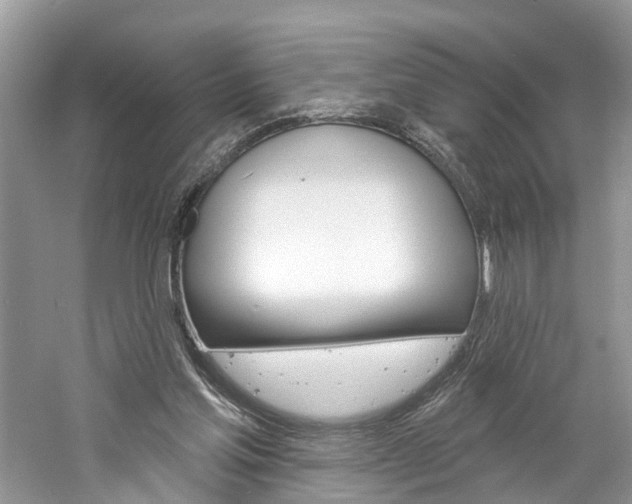 X0000061150205200511181041