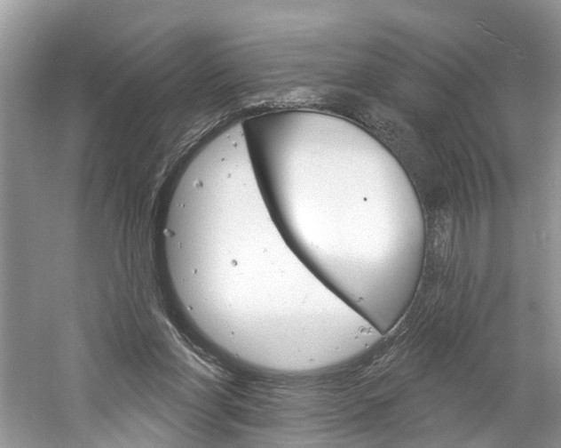 X0000061150206200511181041