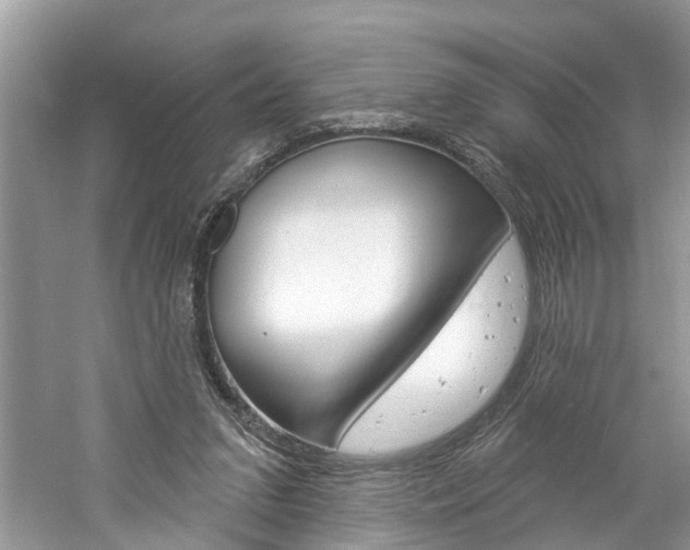 X0000061150207200511181041