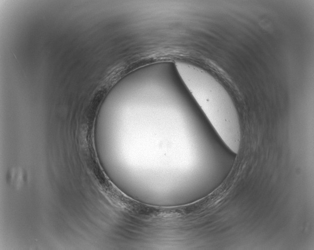 X0000061150209200511181041