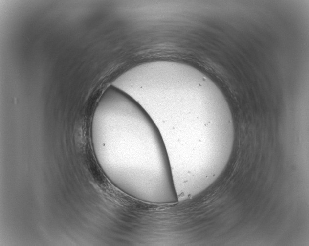 X0000061150210200511181041