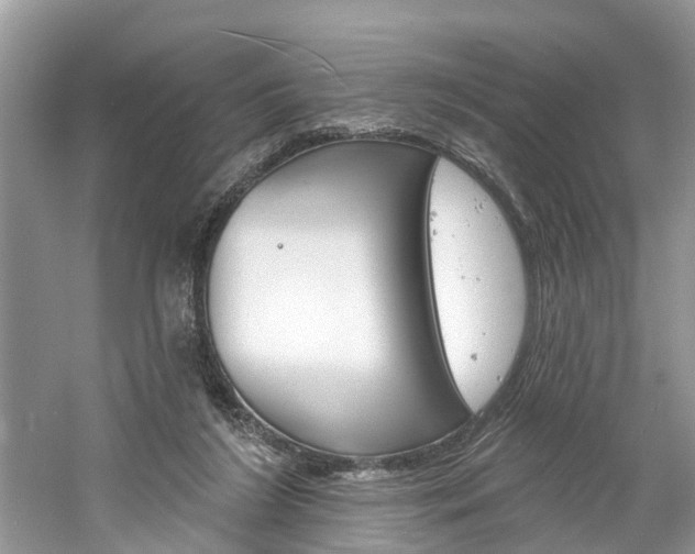 X0000061150212200511181041