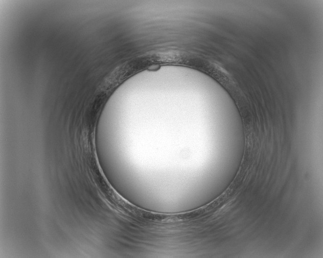 X0000061150213200511181041