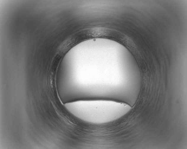 X0000061150214200511181041