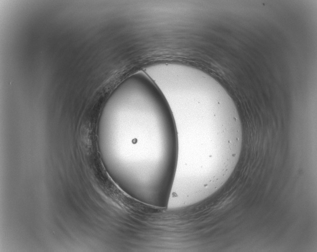 X0000061150215200511181041