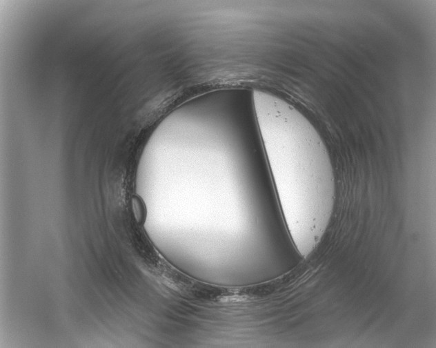 X0000061150216200511181041