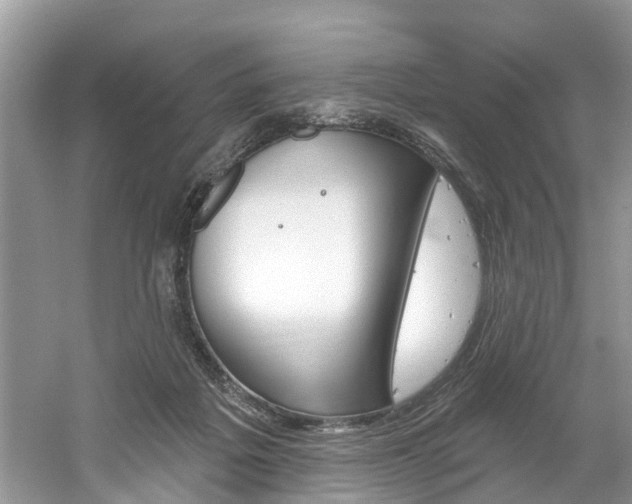 X0000061150217200511181041