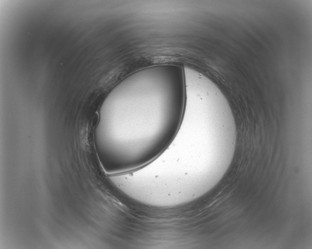 X0000061150219200511181041