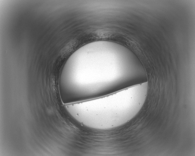 X0000061150220200511181041