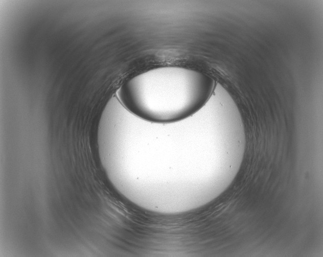 X0000061150221200511181041