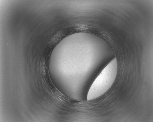 X0000061150223200511181041