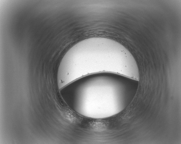 X0000061150224200511181041