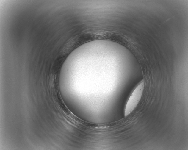 X0000061150225200511181041