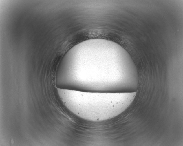 X0000061150226200511181041