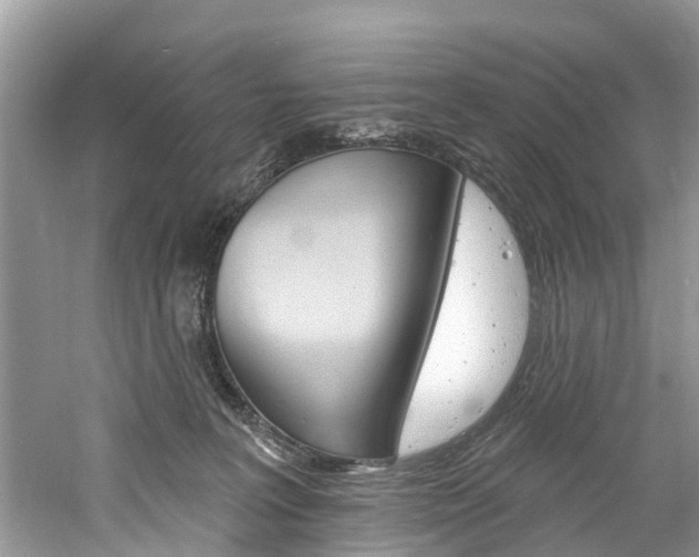 X0000061150227200511181041