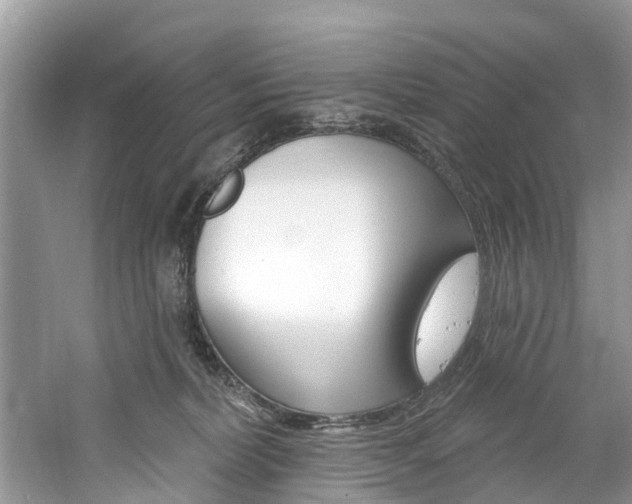 X0000061150228200511181041