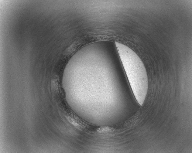 X0000061150231200511181041