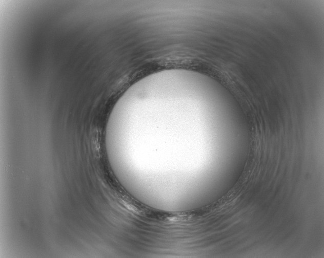 X0000061150232200511181041