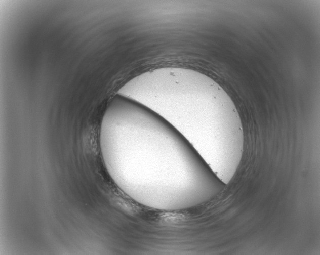 X0000061150234200511181041