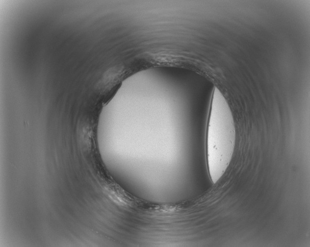 X0000061150235200511181041