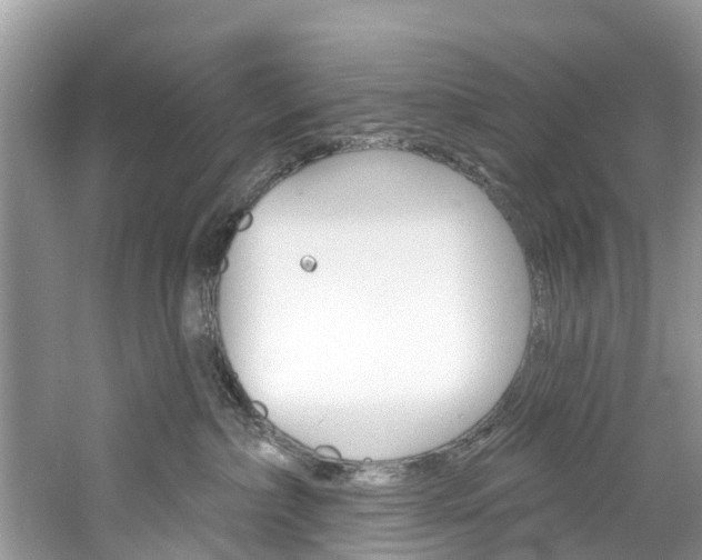 X0000061150236200511181041