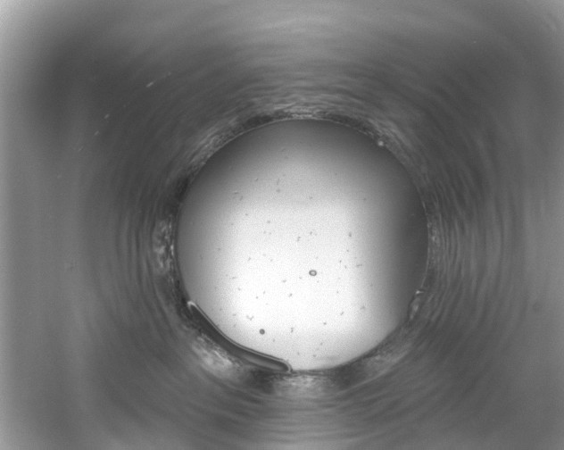 X0000061150237200511181041