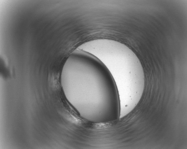 X0000061150239200511181041