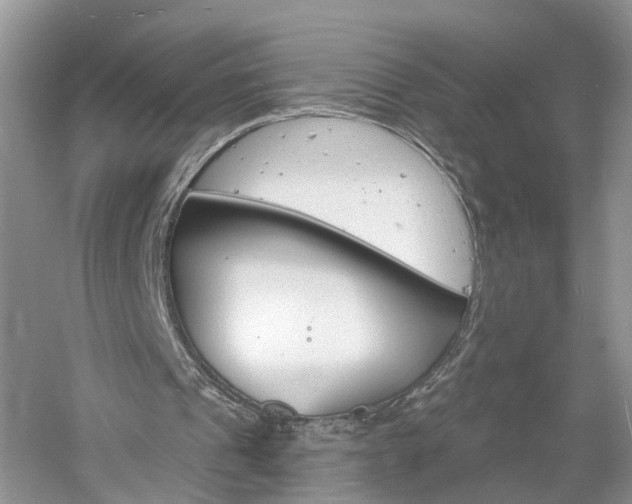 X0000061150241200511181040