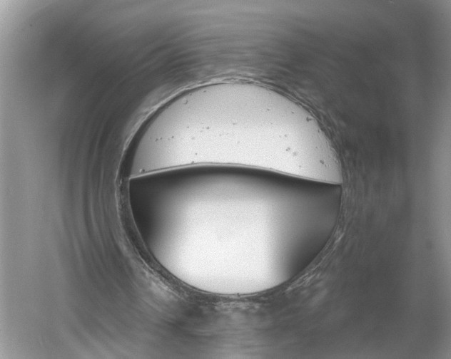 X0000061150242200511181040