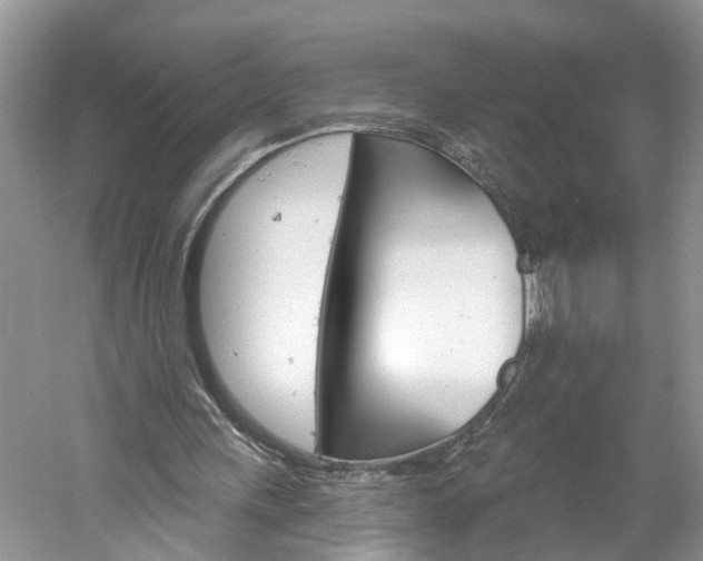 X0000061150243200511181040