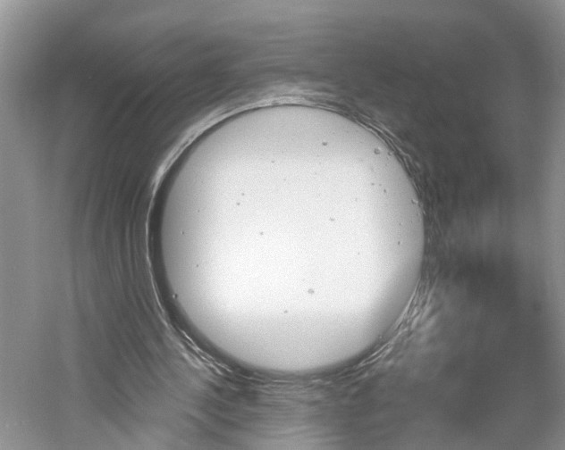 X0000061150244200511181040