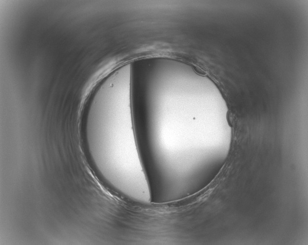 X0000061150245200511181040