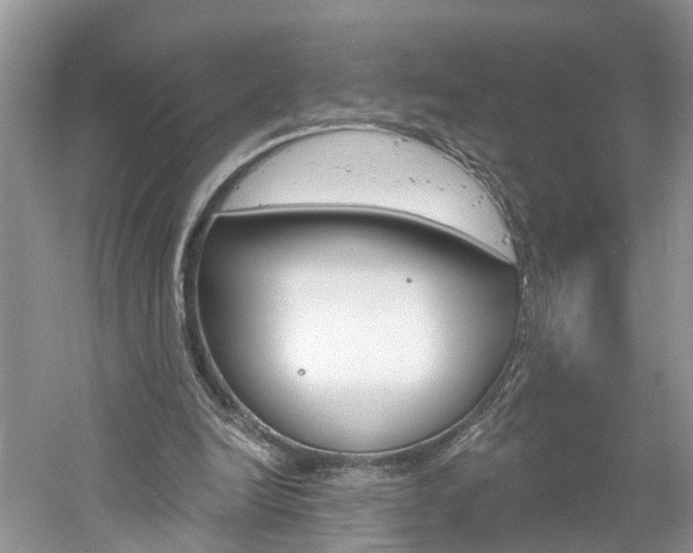 X0000061150246200511181040