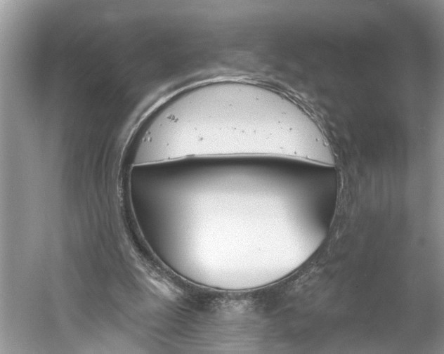 X0000061150247200511181040