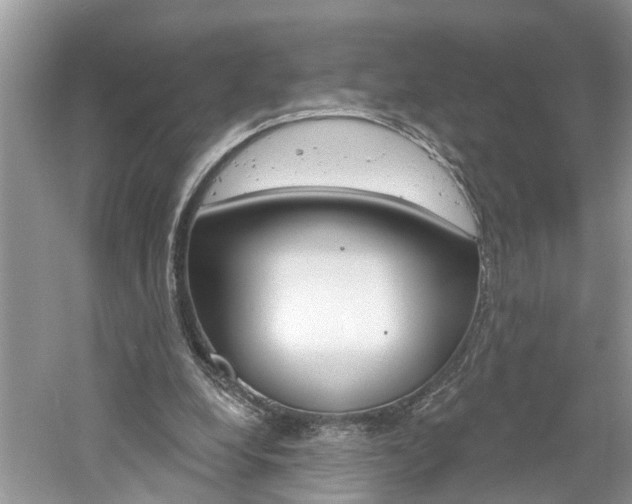 X0000061150248200511181040