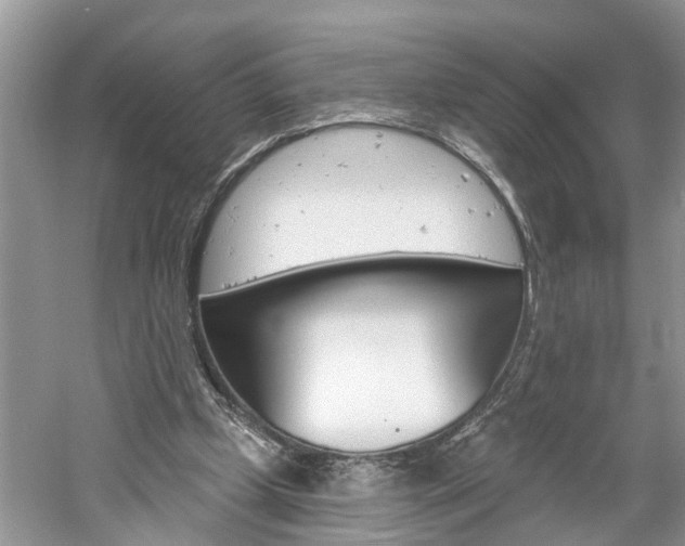 X0000061150249200511181040