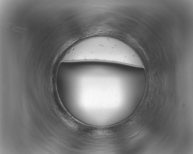 X0000061150250200511181040