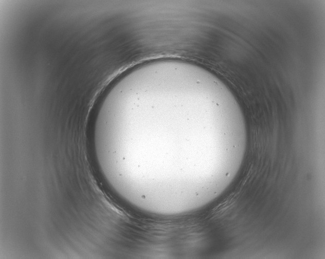 X0000061150252200511181040