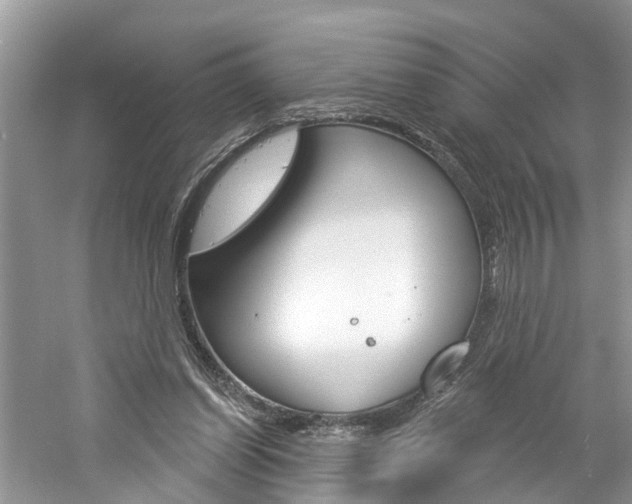 X0000061150254200511181040