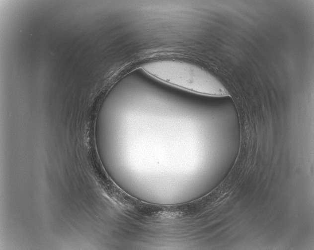 X0000061150255200511181040