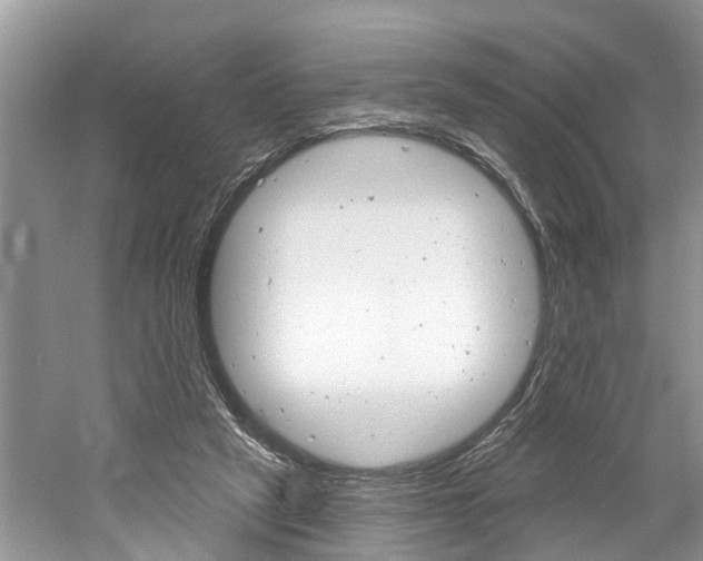 X0000061150257200511181040